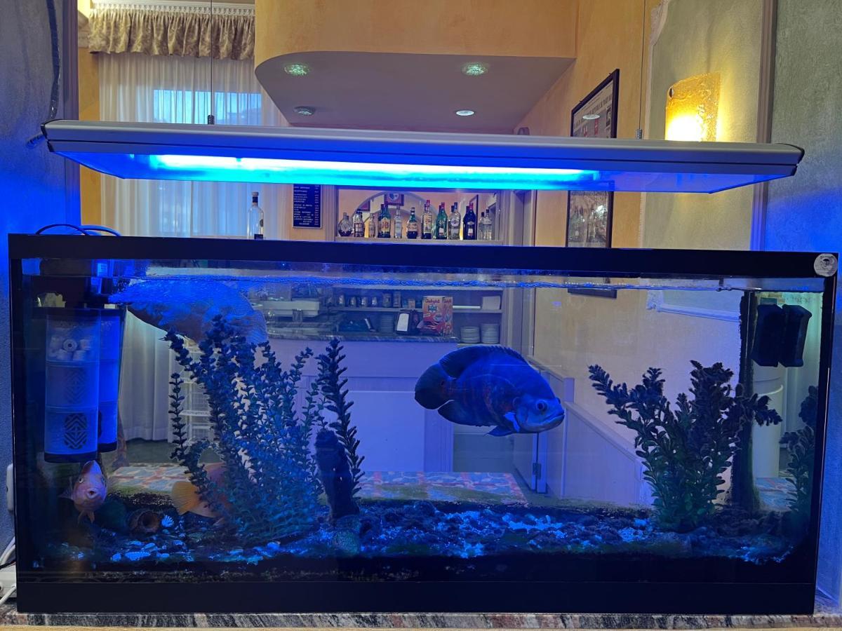 Hotel Villa Primavera Pisa Dış mekan fotoğraf